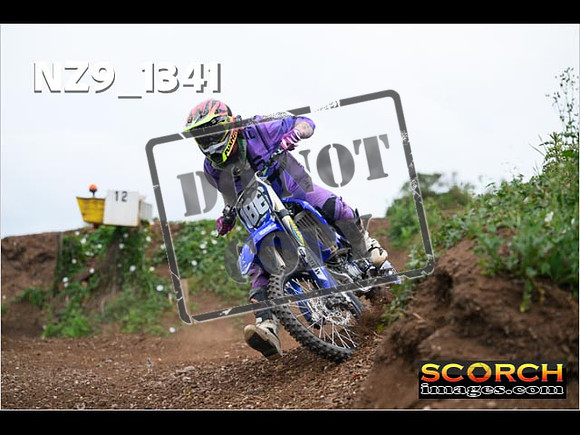 IntersBlue-370