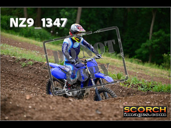 IntersBlue-376