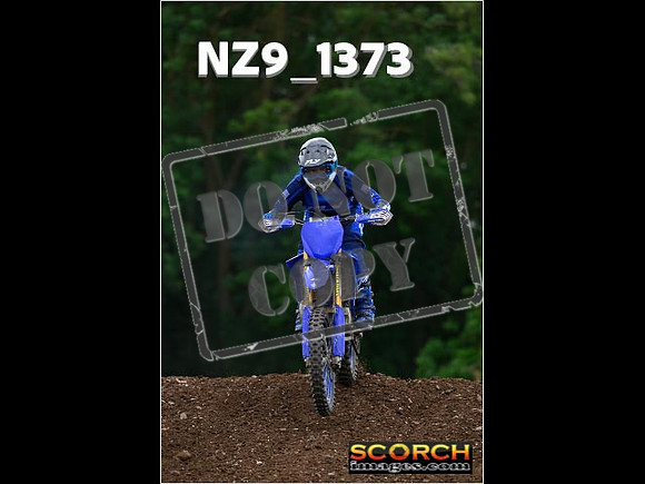 IntersBlue-402