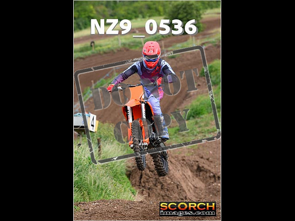 Inters Green-019