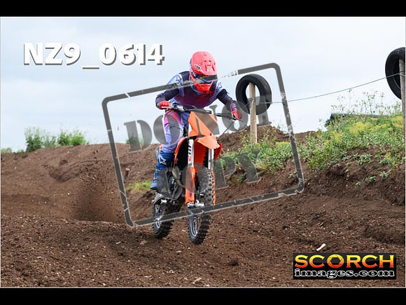 Inters Green-096