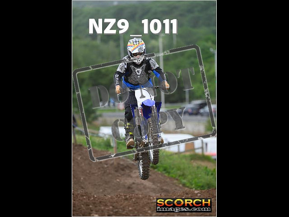 Inters Green-113