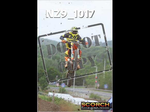 Inters Green-119