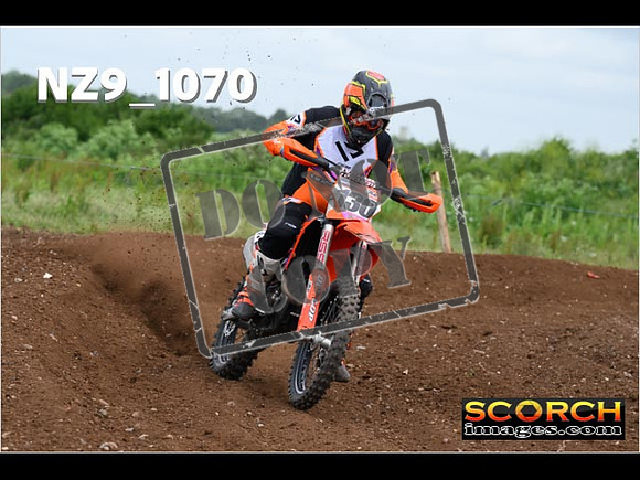 Inters Green-170