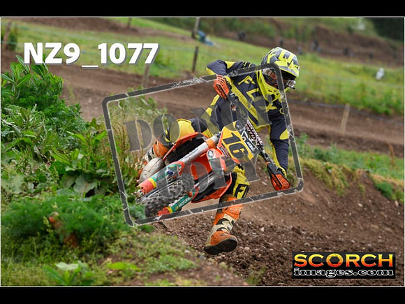 Inters Green-177