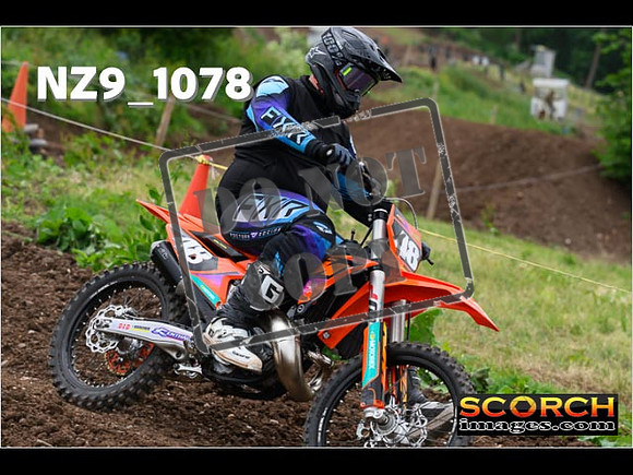 Inters Green-178