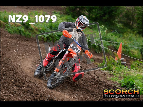 Inters Green-179