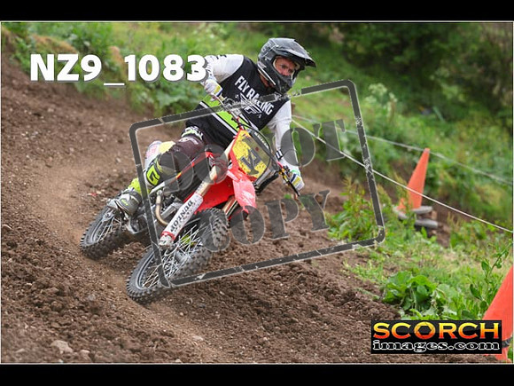 Inters Green-183