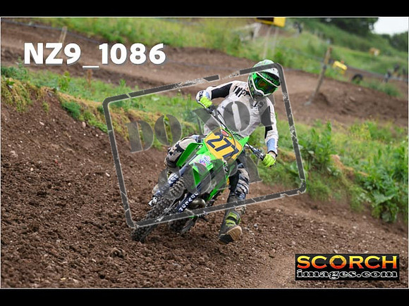 Inters Green-186