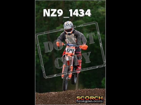 Inters Green-216