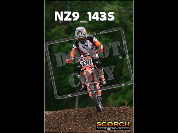 Inters Green-217