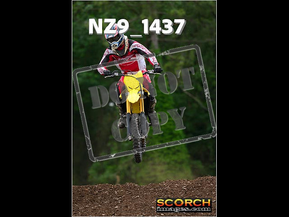 Inters Green-219