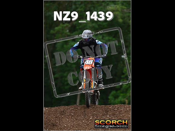 Inters Green-221