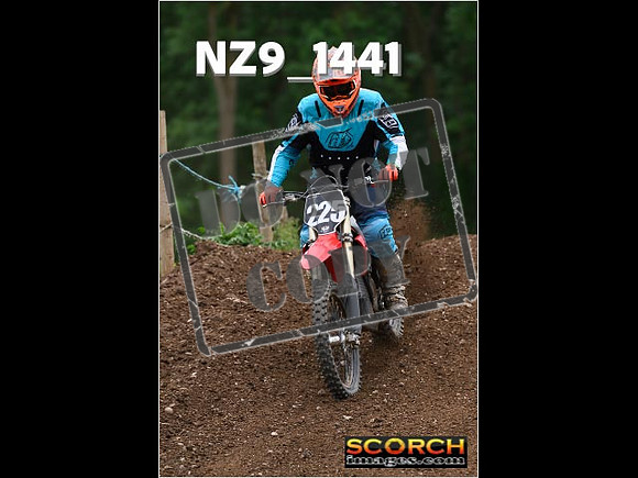 Inters Green-223