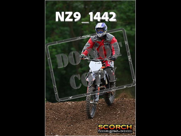 Inters Green-224