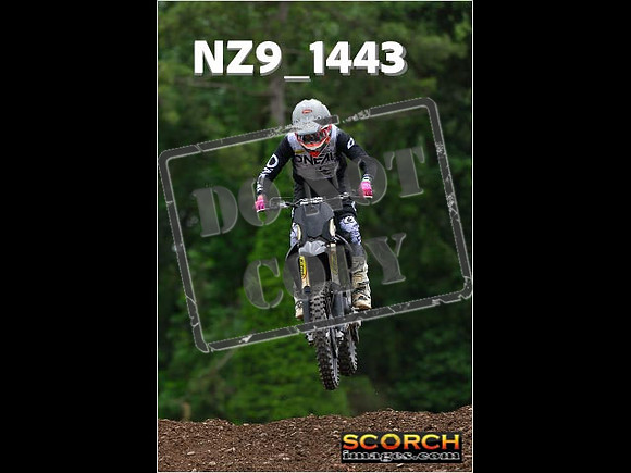 Inters Green-225
