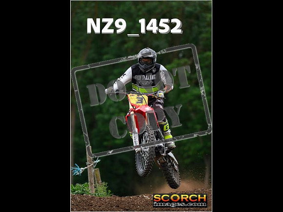 Inters Green-230
