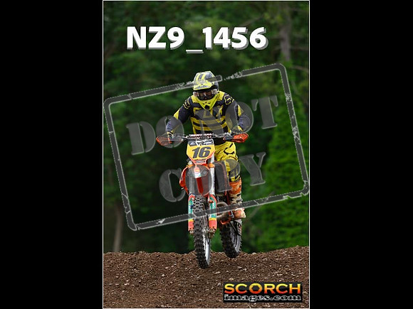 Inters Green-234