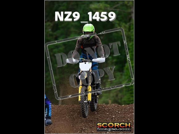 Inters Green-237