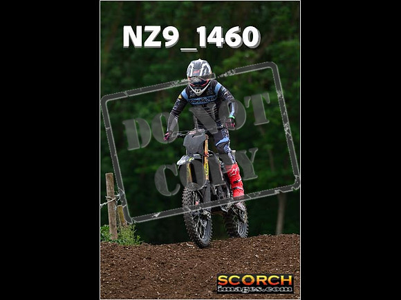Inters Green-238