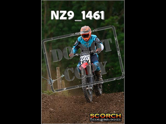 Inters Green-239