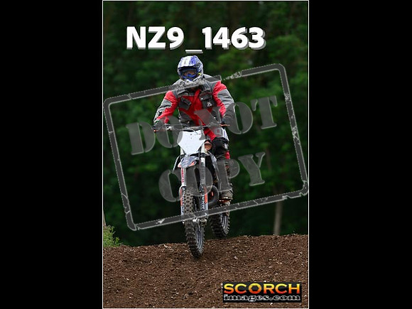 Inters Green-241