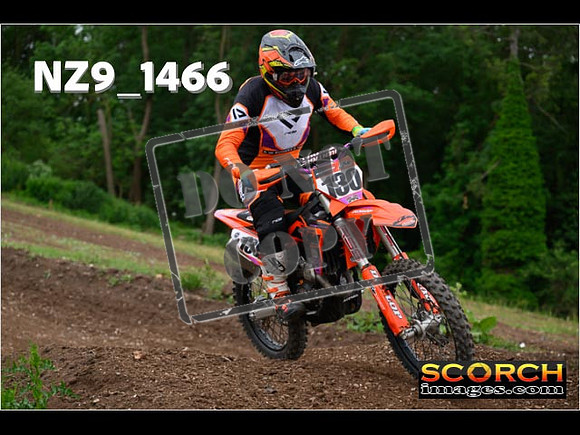 Inters Green-244