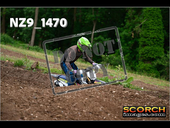 Inters Green-248