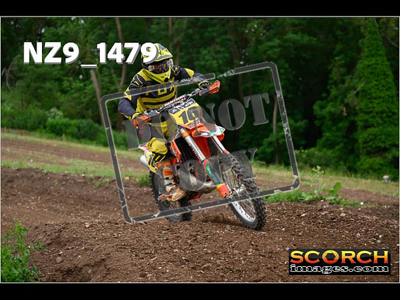 Inters Green-256