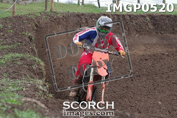 IMGP0520