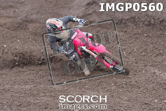 IMGP0560