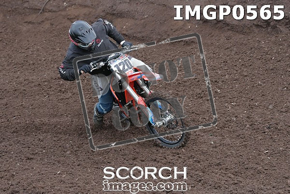 IMGP0565