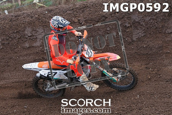 IMGP0592