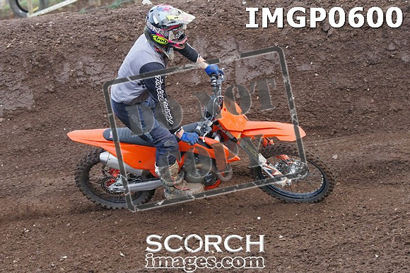 IMGP0600