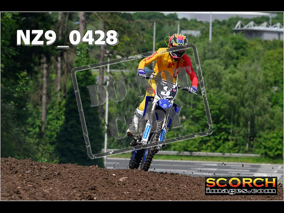 Orange Group-018