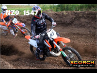 Experts-014
