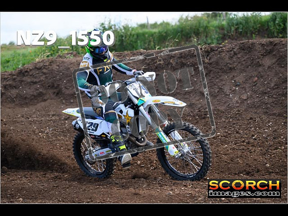 Experts-017