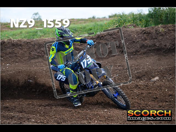 Experts-026