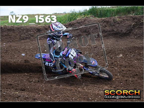 Experts-030