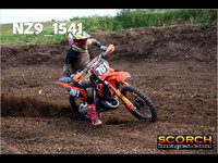 Experts-009