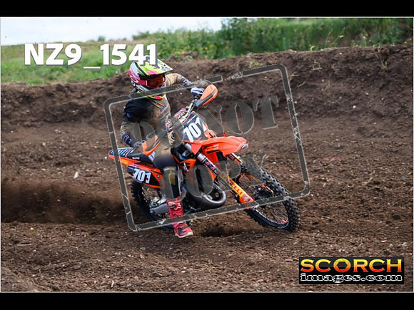 Experts-009