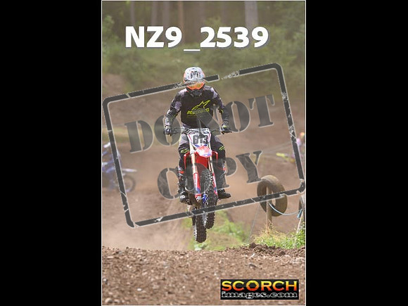 Inters-175