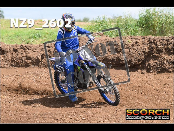 Inters-237