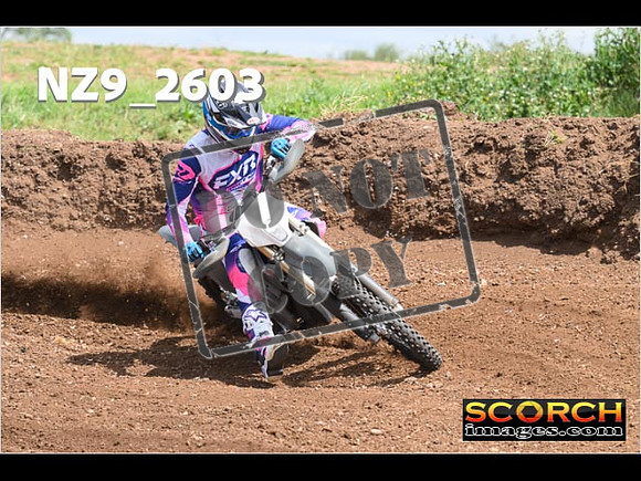 Inters-238