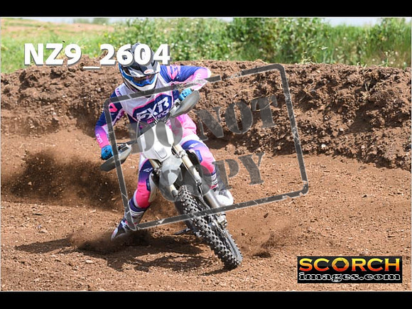 Inters-239