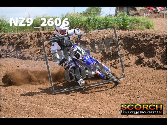 Inters-241