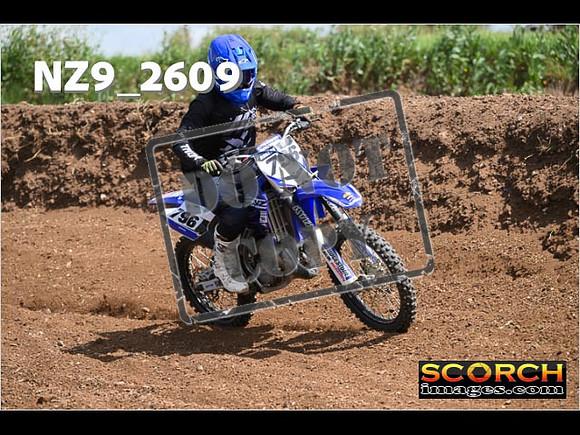 Inters-244