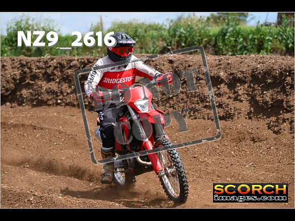 Inters-250
