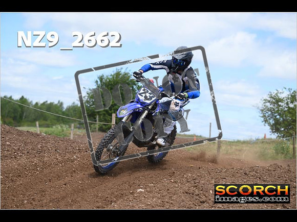 Inters-294
