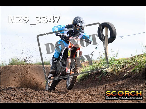 Experts-082